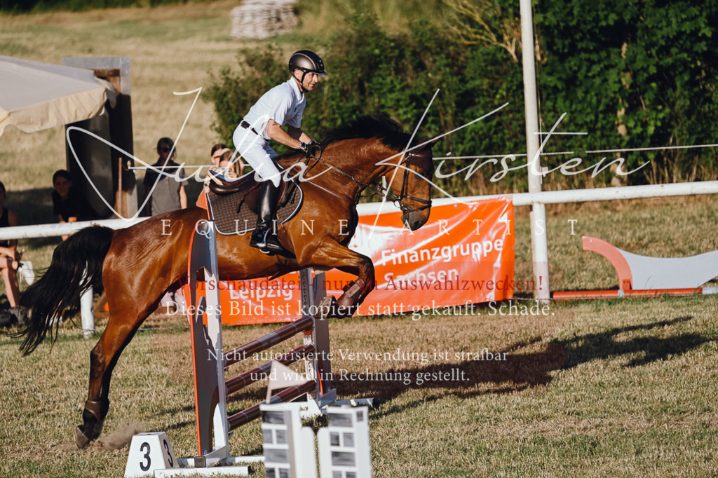 DSC_3269 | Pferde- und Turnierfotografie in Westsachsen. Pferdeportraits, Auftragszeichnungen und intuitive Kunst.