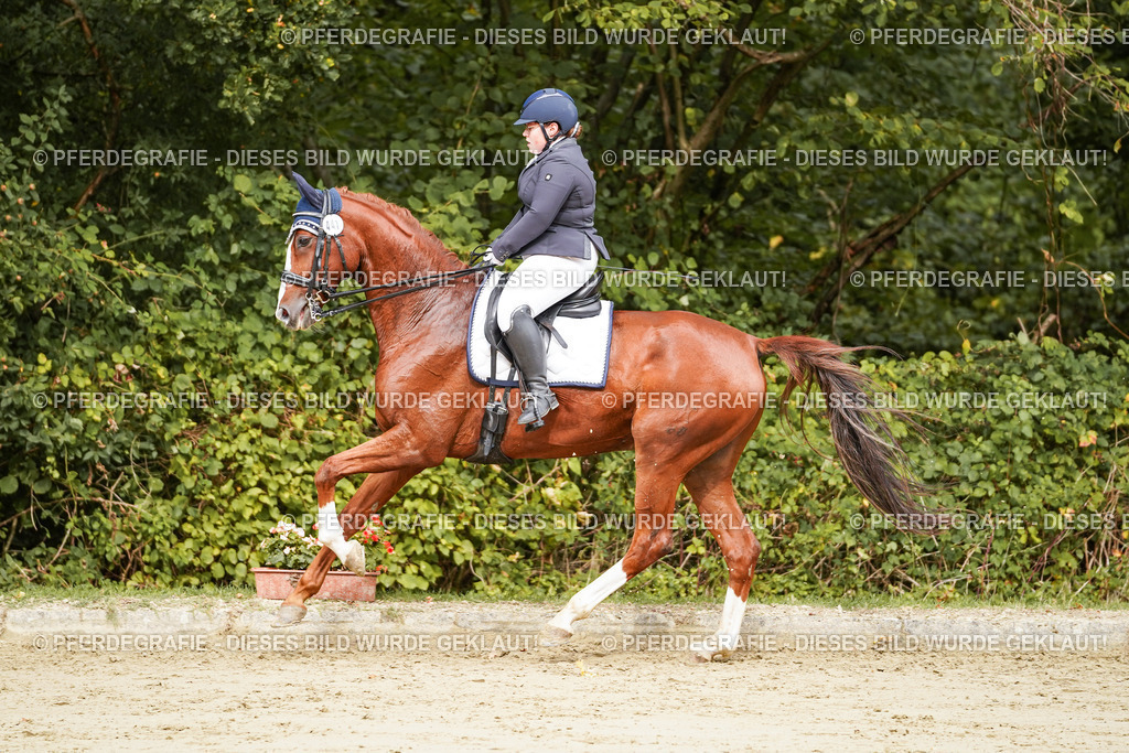 DSC03208 | Pferdegrafie