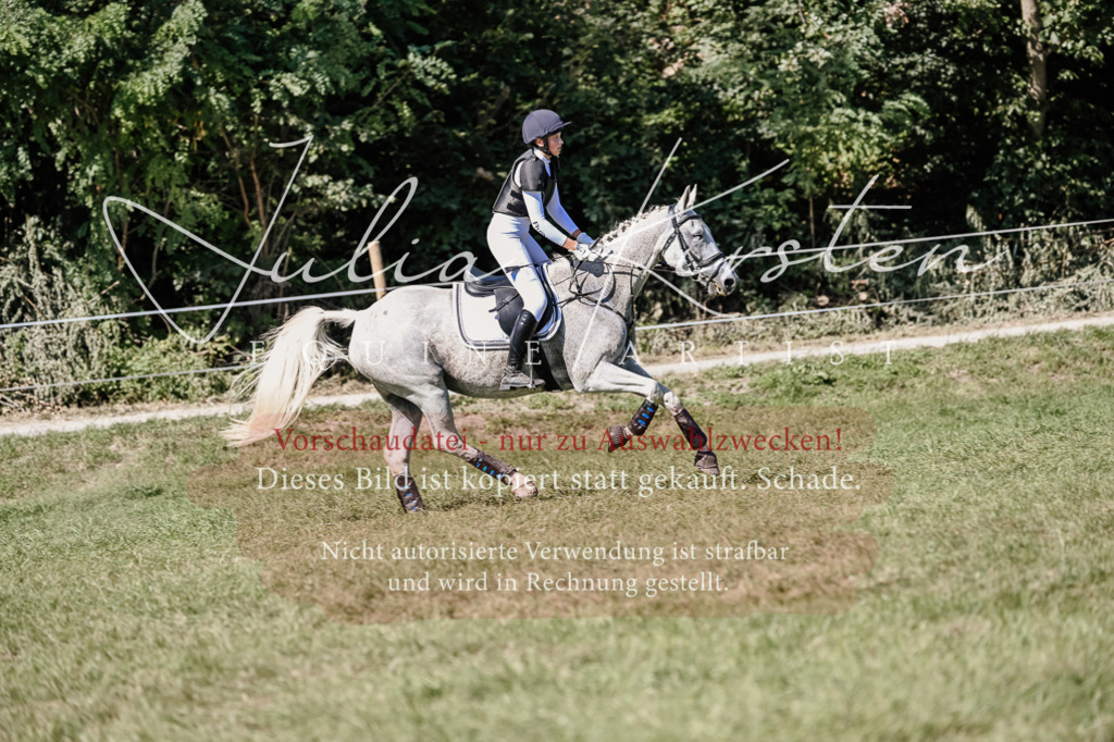 DSC_3017 | Pferde- und Turnierfotografie in Westsachsen. Pferdeportraits, Auftragszeichnungen und intuitive Kunst.