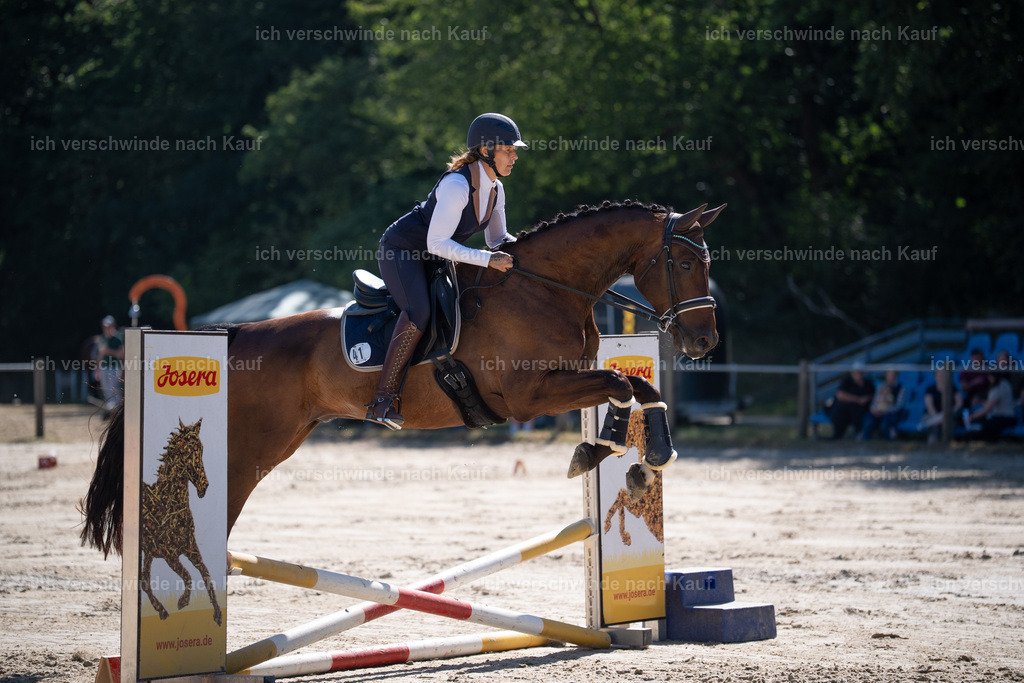 WL_SP_41_Stoibphotography_SO16136 | working equitationturnier fotograf videograf stoibphotography marixx film working equitation deutschland reitsport turnierfotografie eventfotografie equestrian events
