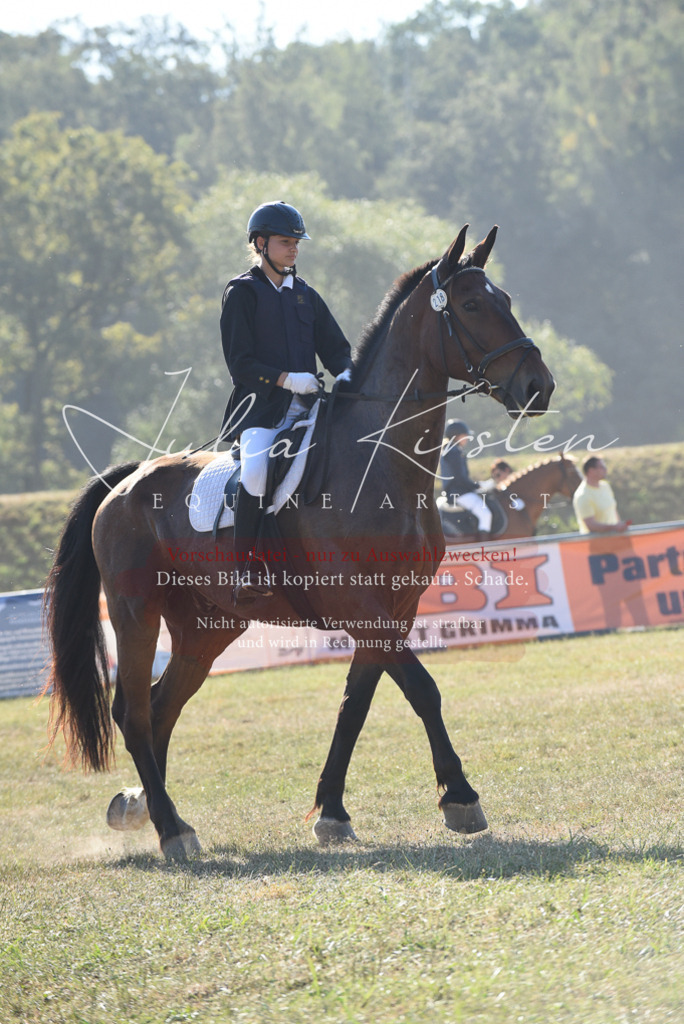 DSC_5776 | Pferde- und Turnierfotografie in Westsachsen. Pferdeportraits, Auftragszeichnungen und intuitive Kunst.