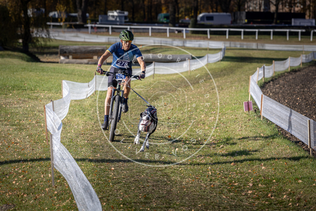 CaniXpix_DV3A5443 | Hundefotografie, Tierfotograf, Pfotenfotografie, Fotoshooting Hund, Hunde Portrait, Hundesport, Hundeportraits, Heideshooting, Hunde, Sportfotograf, Hundefotograf, Turnierhundsport, THS,  - Realisiert mit Pictrs.com