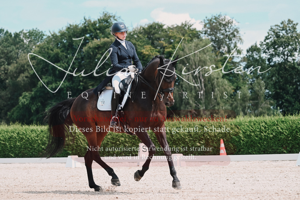 DSC_4318-2 | Pferde- und Turnierfotografie in Westsachsen. Pferdeportraits, Auftragszeichnungen und intuitive Kunst.
