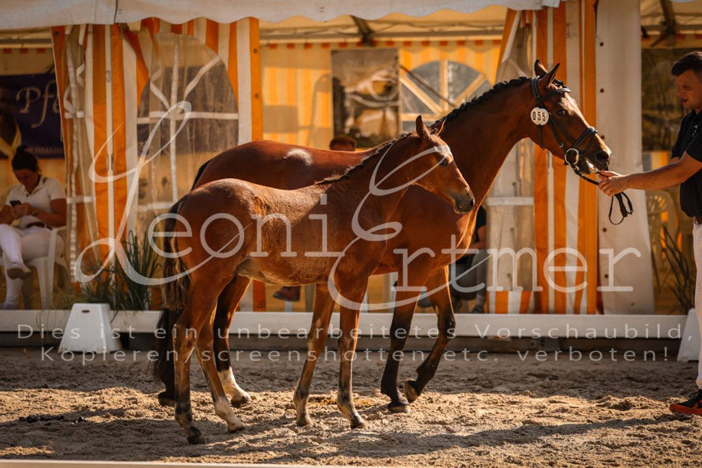 11.DoRP00112 | Leoni Ertmer Photography - Realisiert mit Pictrs.com