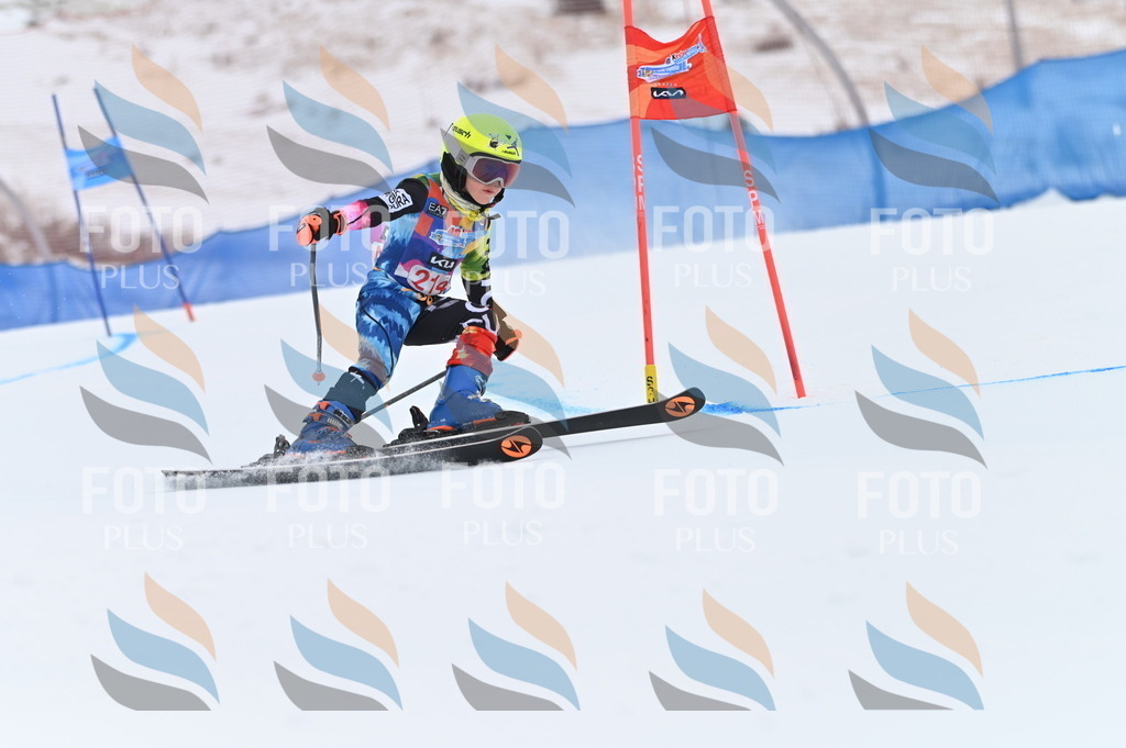 BGV_2683 | holidayphoto