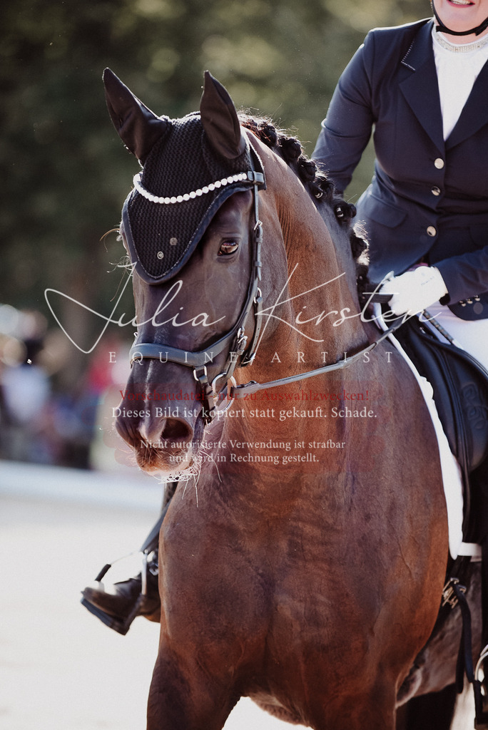 DSC_0586 | Pferde- und Turnierfotografie in Westsachsen. Pferdeportraits, Auftragszeichnungen und intuitive Kunst.
