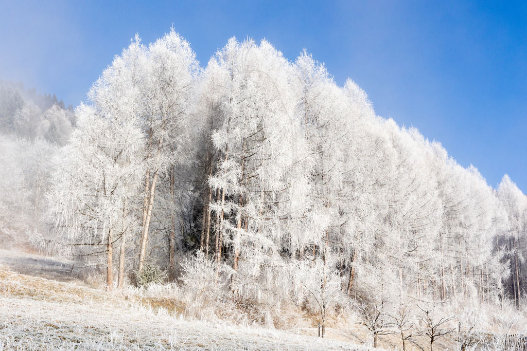 Rauhreif Lungau | Ihre Fotografin im Lungau, ihre Fotografin im Mostviertel, Wandbilder Onlineshop, Imagefotos für Ihr Unternehmen,  - Realisiert mit Pictrs.com