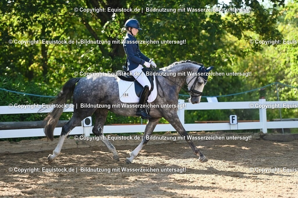 20230715_06_Dressurpferdeprfg. Kl.A_0302 | equistock