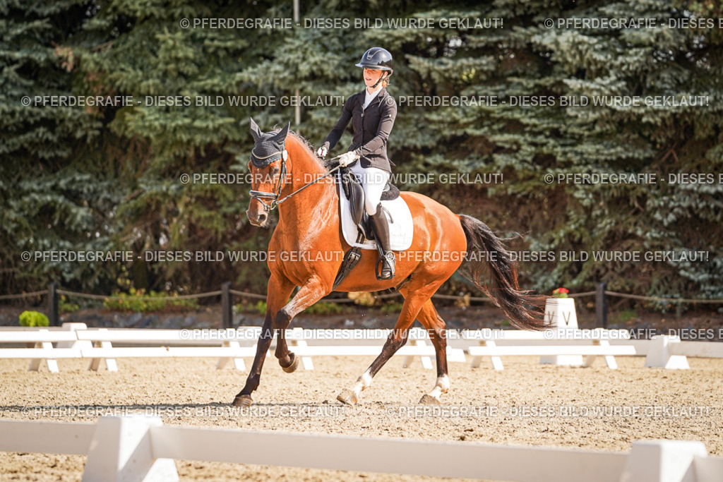 DSC00573 | Pferdegrafie