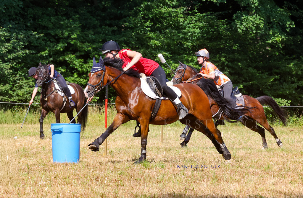 1B3A7918 | Reitsport Reiten