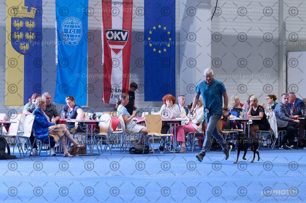 202406_ÖKV-IHA-Tulln24_DSC_4040 | proPHOTO - Realisiert mit Pictrs.com