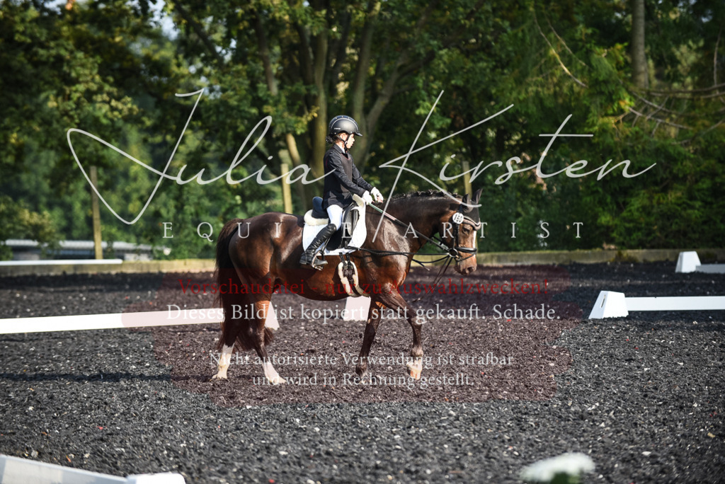 DSC_3506 | Pferde- und Turnierfotografie in Westsachsen. Pferdeportraits, Auftragszeichnungen und intuitive Kunst.
