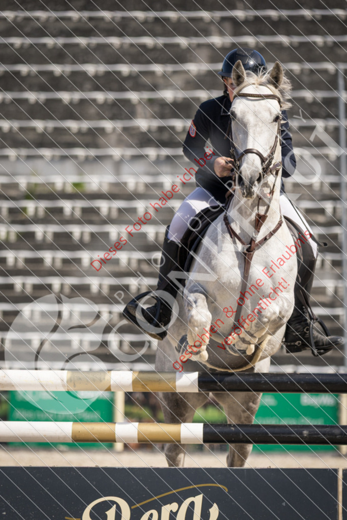 IMG_4393 | Sport-, Event- und Tierfotos in Profiqualität. Einfach auswählen, bestellen und herunterladen. Dein Moment – perfekt festgehalten.