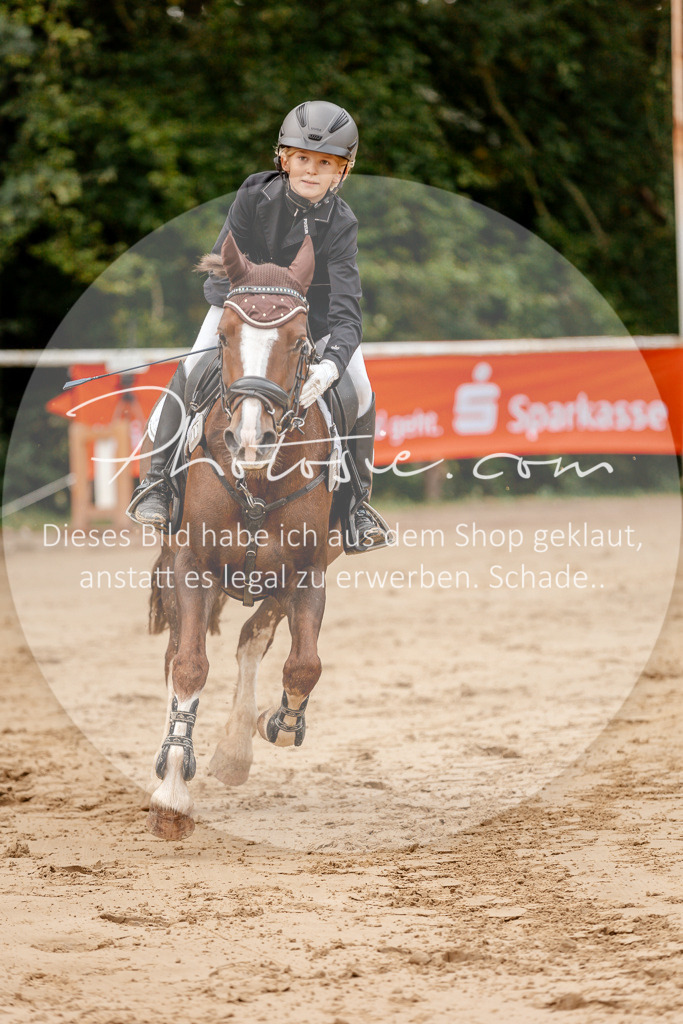 3I6A6605 | Stimmungsvolle Portraits und Reitsportfotografie im Ruhrgebiet und im Münsterland.

Pferdefotografie, Hundefotografie, Tierfotografie, Reportagen, Portraits von Tier und Mensch, Turnierfotografie in Bochum, Recklinghausen, Marl, Haltern am See, Dülmen.. - Realisiert mit Pictrs.com