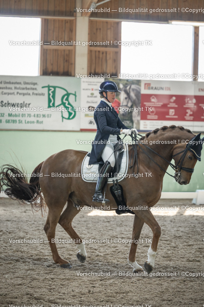 _D5A9627 | Emotionale Pferde- & People-Fotografie rund um Heidelberg, Leimen & Umgebung. Natürliche Fotos von Pferd, Mensch & Familie. Jetzt Termin sichern!