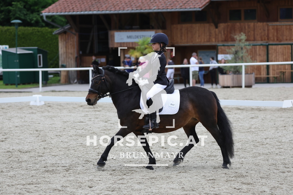 0P6A7173 | Willkommen bei Brunnmayr - Design & Fotografie – Ihrem Spezialisten für Reitturniere und Pferdeveranstaltungen in Oberösterreich, Salzburg und Bayern! Seit über 17 Jahren sind wir leidenschaftlich dabei.