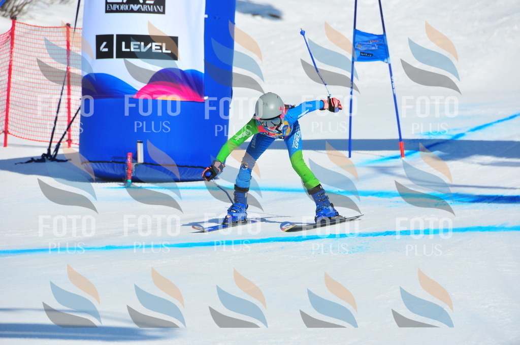 DSC_4388 | holidayphoto