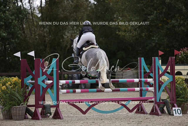 1J2A1685Nicola Schweiger_ Kam__ Kn559_ Havekost | Foto- und Videografie für alles rund ums Pferd. Hochwertige Bilder und Videos vom Spring- und Dressurreiten, Voltigieren & mehr. Jetzt aktuelle Veranstaltungen und Preise im Shop ansehen. - Realisiert mit Pictrs.com