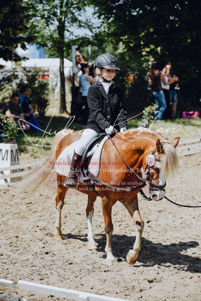 DSC_2187 | Pferde- und Turnierfotografie in Westsachsen. Pferdeportraits, Auftragszeichnungen und intuitive Kunst.