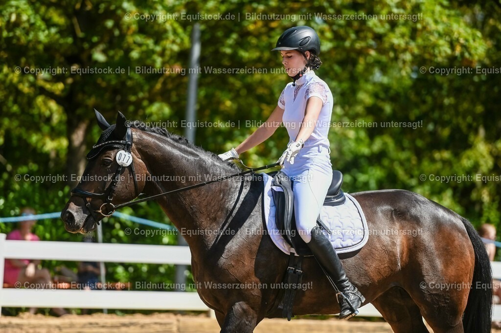 20230715_02_Dressurreiterprüfung Kl.L_0071 | equistock