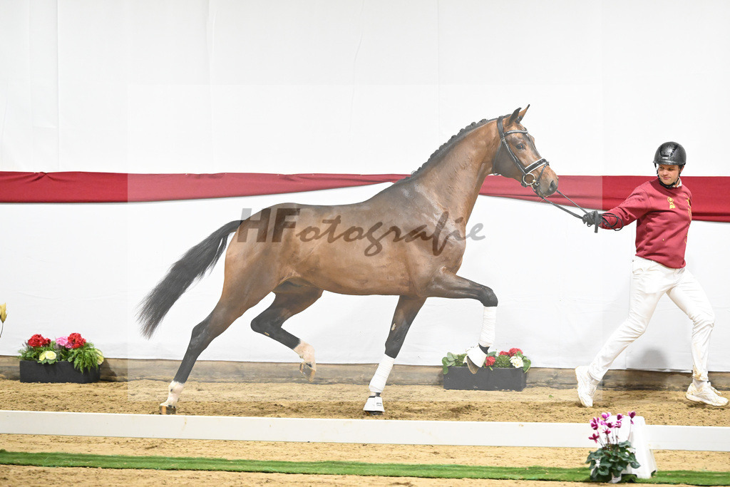 Kat-Nr. 60 v. Valverde_Schoenland_63221793 | hf-fotografie - Realizzato con Pictrs.com
