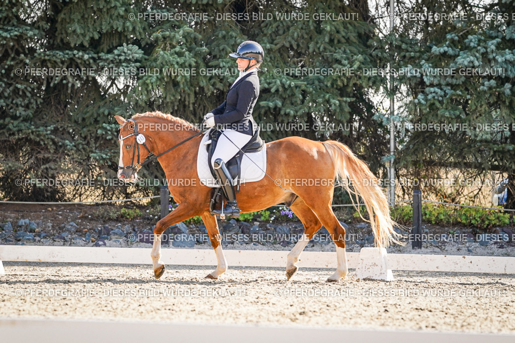 DSC09979 | Pferdegrafie