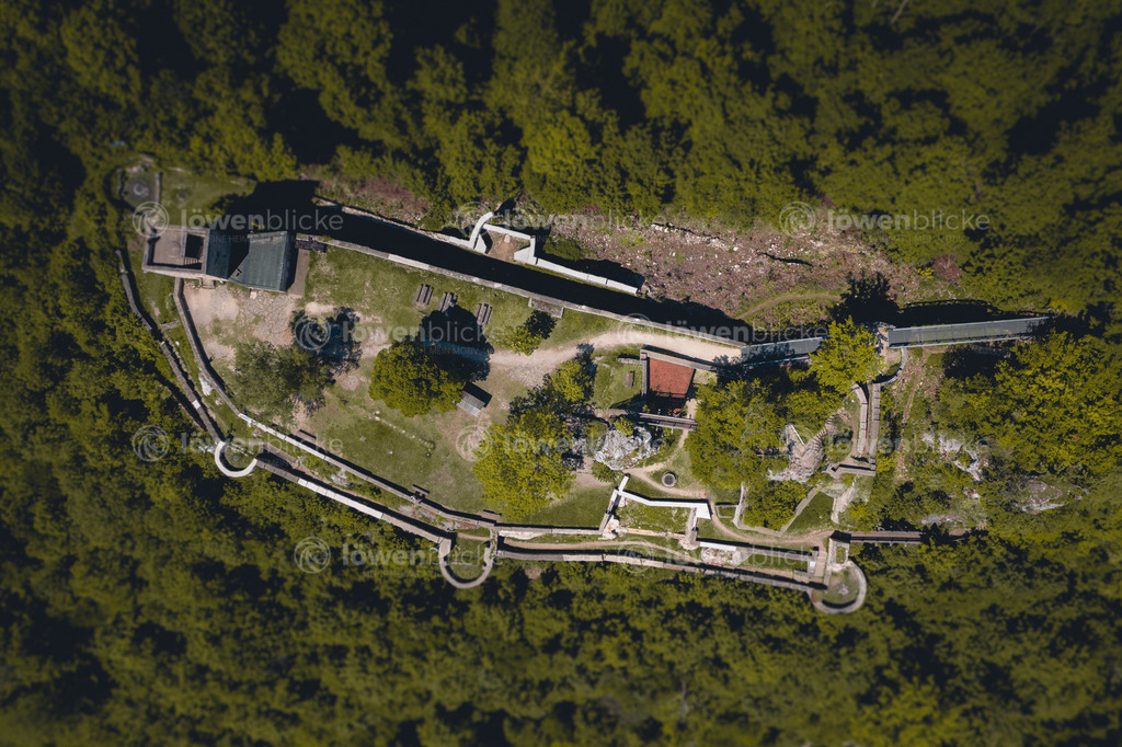 Helfenstein Ruine bei Geislingen im Sommer | löwenblicke | shop