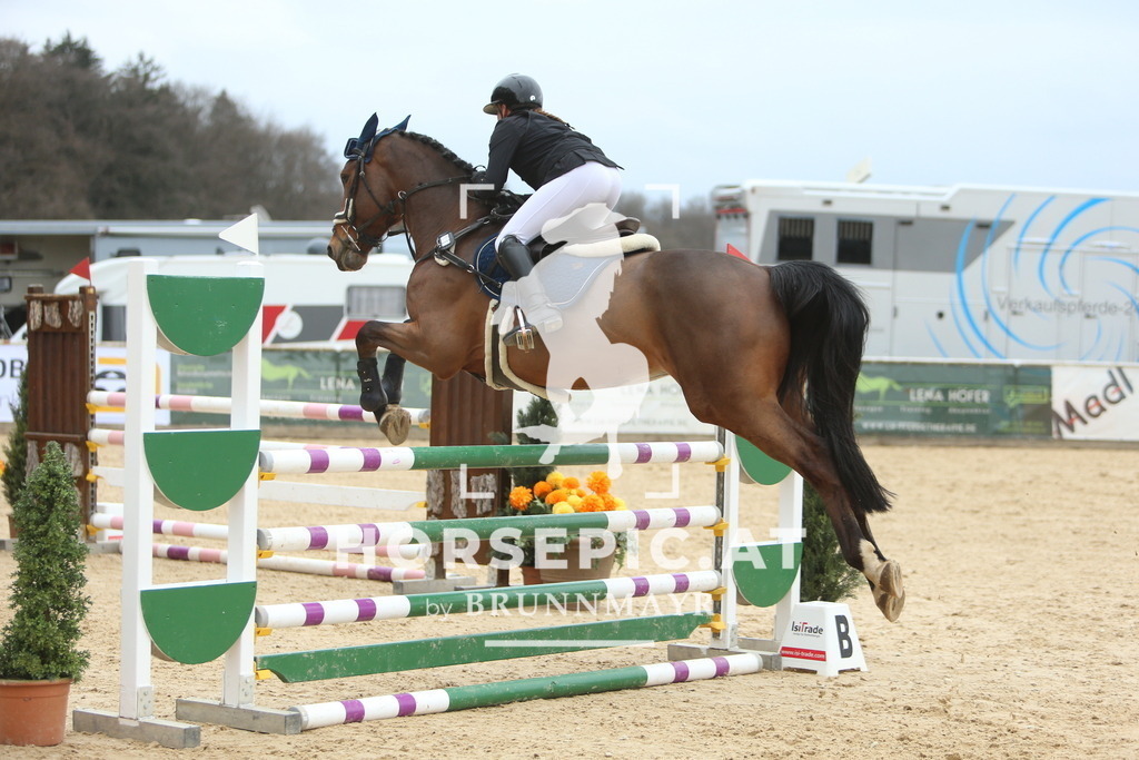 DL2Q7037 | Willkommen bei Brunnmayr - Design & Fotografie – Ihrem Spezialisten für Reitturniere und Pferdeveranstaltungen in Oberösterreich, Salzburg und Bayern! Seit über 17 Jahren sind wir leidenschaftlich dabei.