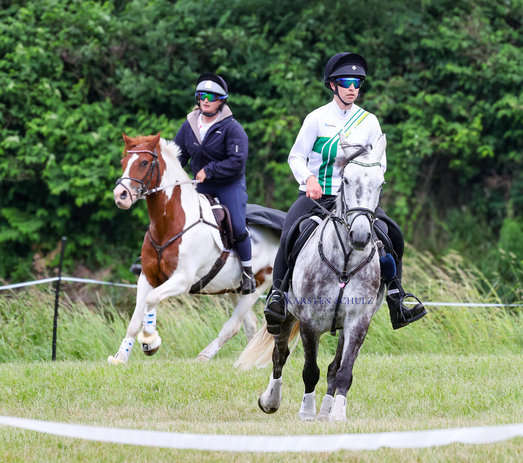 1B3A2905 | Reitsport Reiten