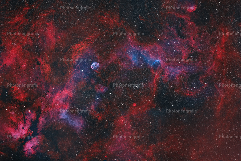 Schwan_Mosaik | Photonengrafie´s Shop - Realisiert mit Pictrs.com