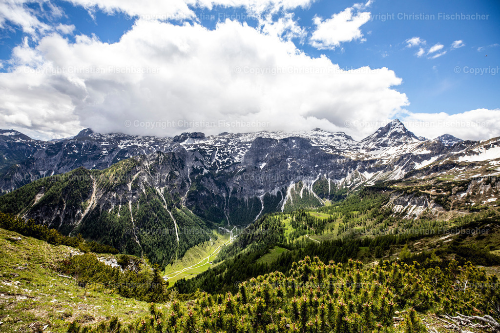 Fotos_Copyright_Chri_Fischbacher_Druck-388 | Bildershop Chri Fischbacher - Realisiert mit Pictrs.com