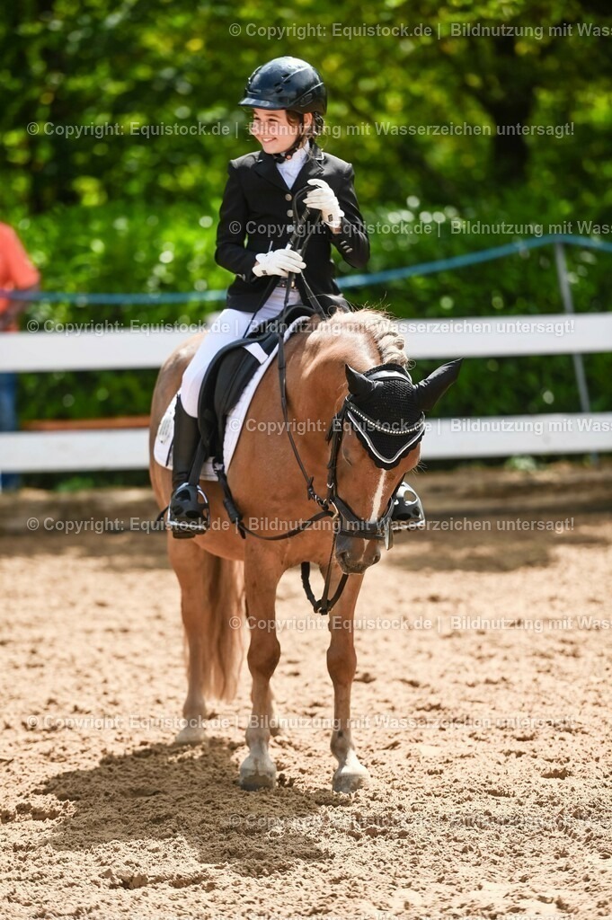 20230716_10-3_Reiter-WB Schritt - Trab - Galopp_0192 | equistock
