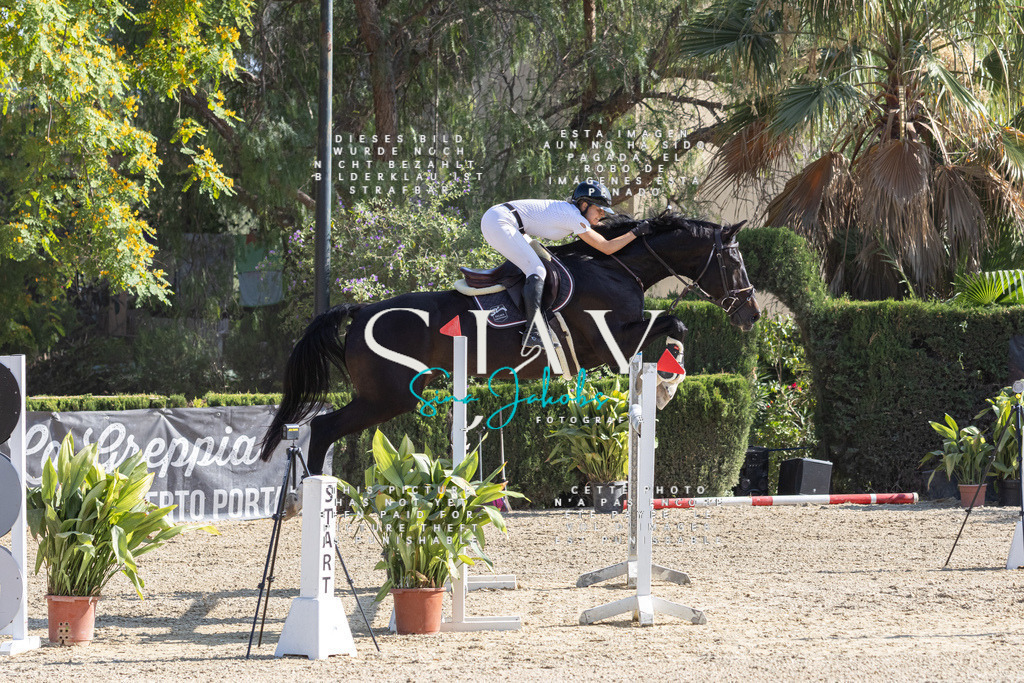 IMG_4442 | s-jay-photography - Realisiert mit Pictrs.com