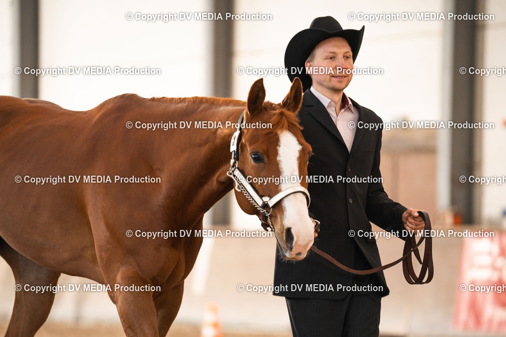 Heiligenwald Tag 2-226 | dv-media-shop - Realisiert mit Pictrs.com