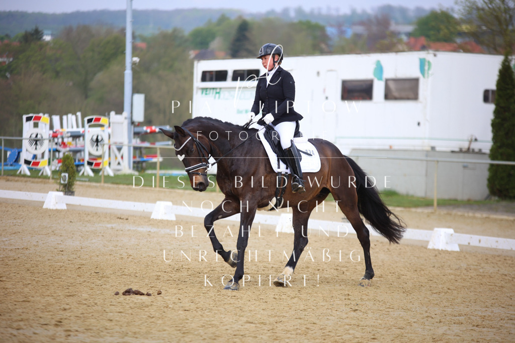 IMGT8136 | pl-fotografie