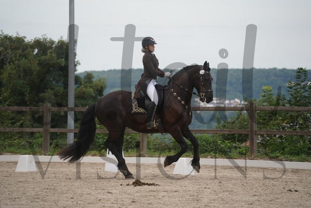 tgbhsamstag (224) | d.tail Visions - Shop - Realisiert mit Pictrs.com