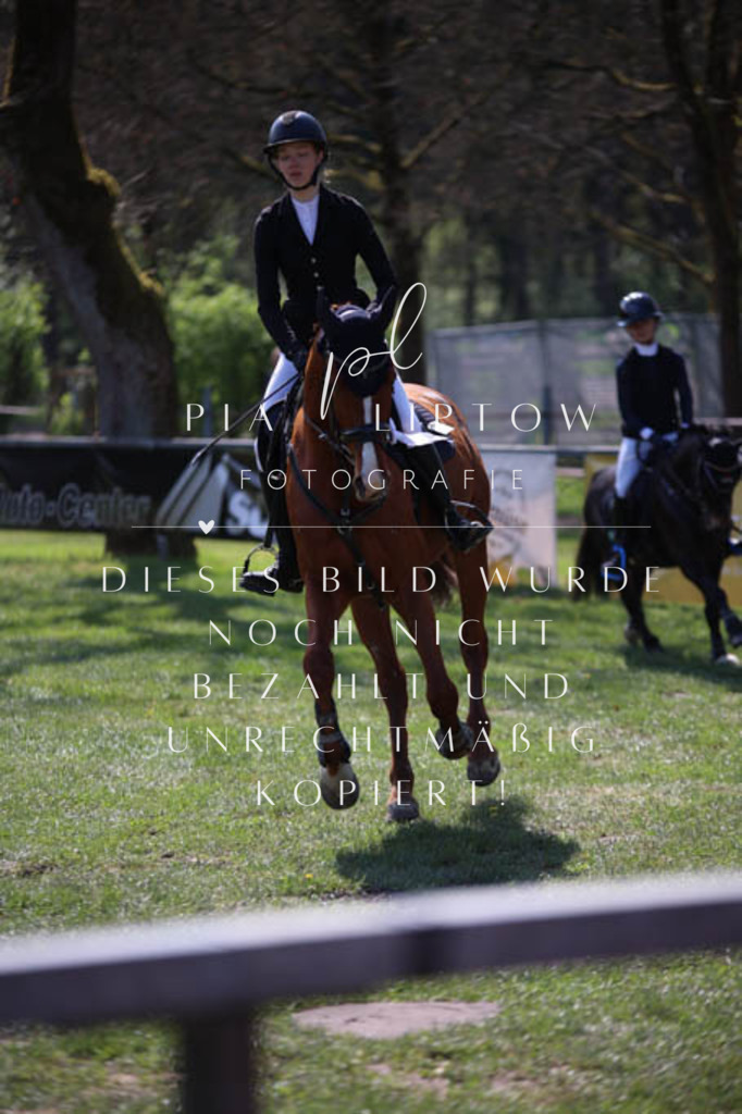 IMGT5771 | pl-fotografie