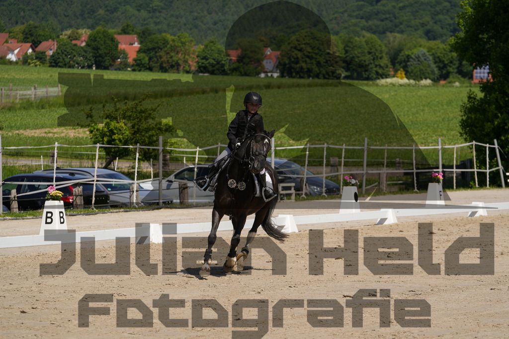 DSC03228 | Julian Held Fotografie - Realisiert mit Pictrs.com