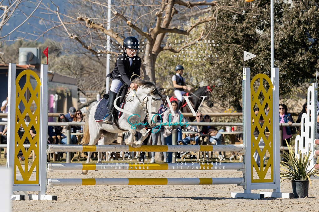 IMG_9000 | s-jay-photography - Realisiert mit Pictrs.com