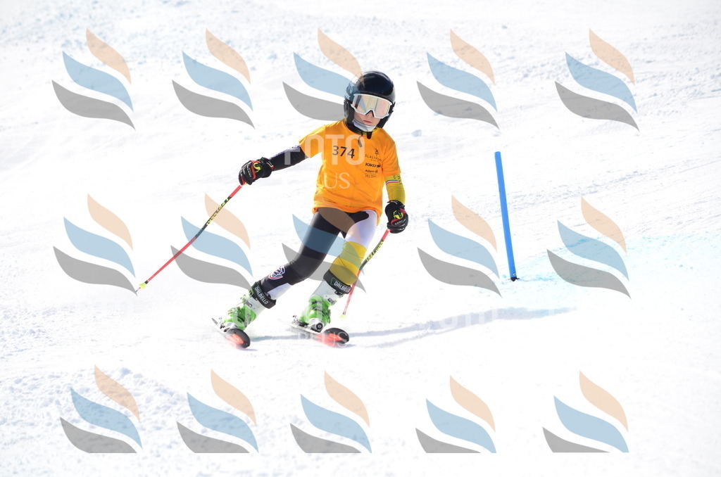 C8765 | holidayphoto