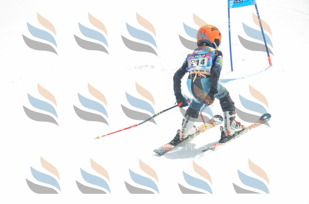 _ELE7093 | holidayphoto