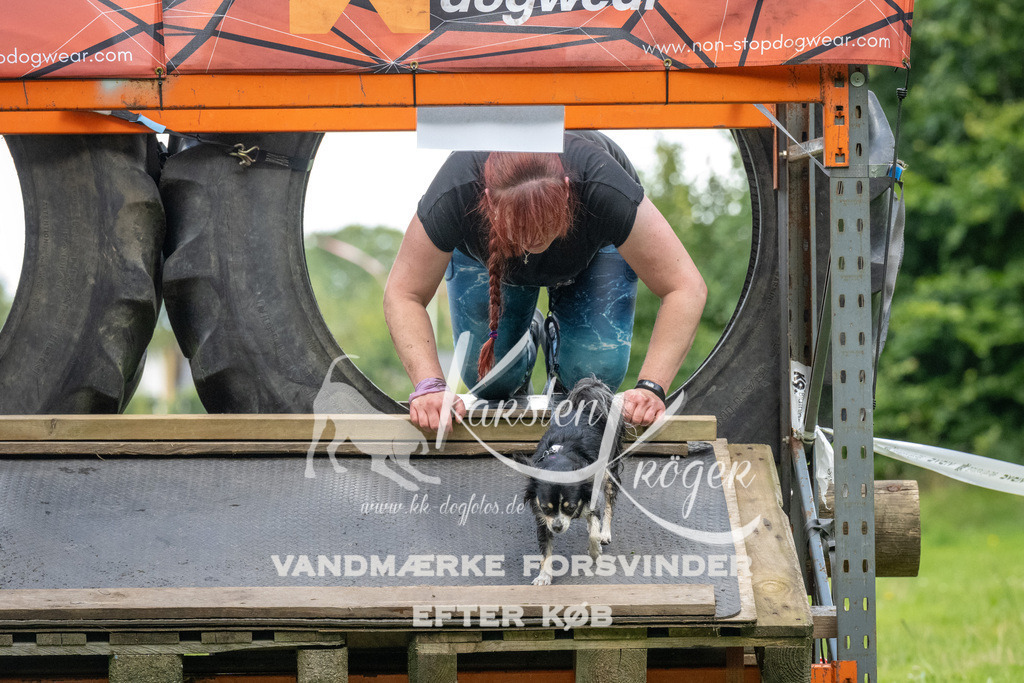 1302_ZZ94548 | kk-dogfotos