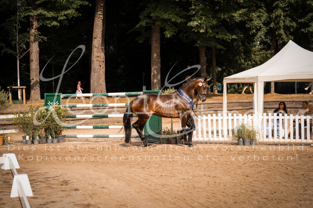 FrER00224 | Leoni Ertmer Photography - Realisiert mit Pictrs.com