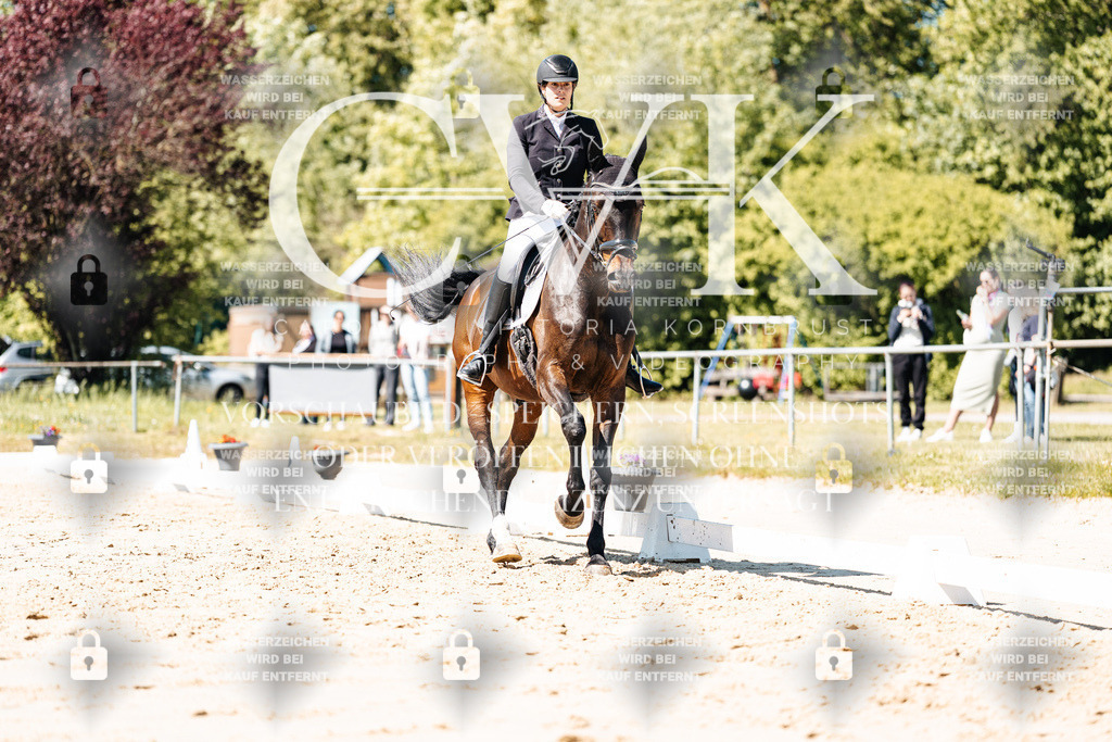 CK905465 | Turnierfotografie Pferdefotografie Trier Rheinland-Pfalz Pferdesport Reitsport Tierfotografie Sportfotografie Pferdevideo Pferdevideografie Equestrianvideography equestrianphotography  - Realisiert mit Pictrs.com