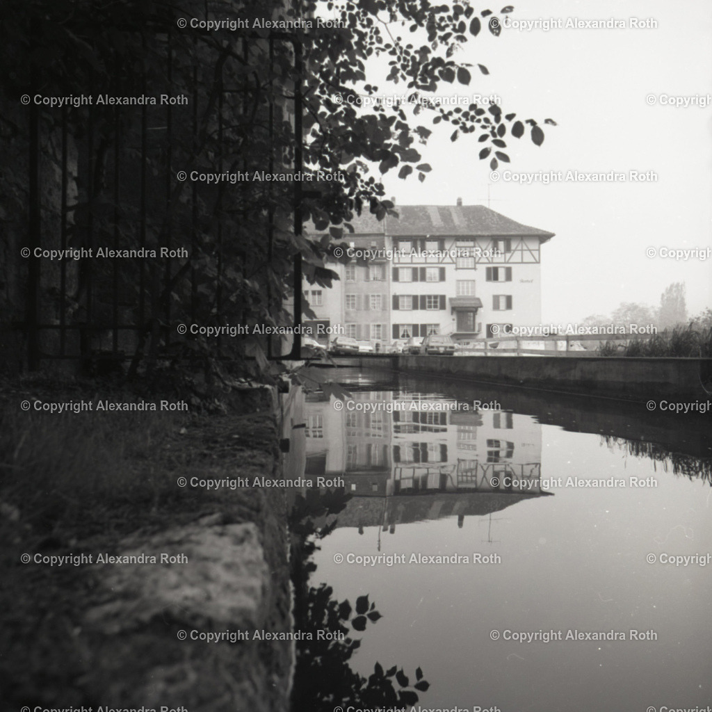 Aarau_738 | onlineshop - Realisiert mit Pictrs.com