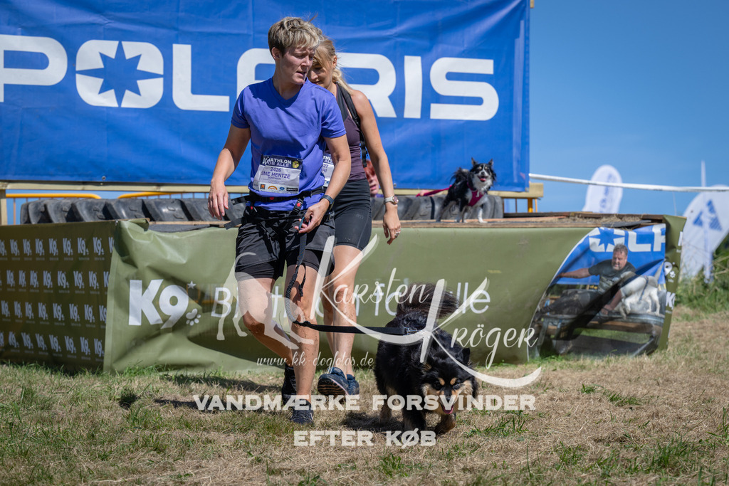 1301_ZZ97822 | kk-dogfotos