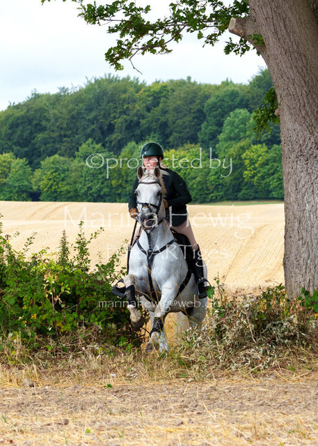 Jagd Knoop 26_MarinaHewigMCH02174 | Fotografie, FotoArt, PferdesportArt, Pferdesportfotografie, Landschaftsfotografie, Reisefotografie, Reise, Pferde - Realisiert mit Pictrs.com