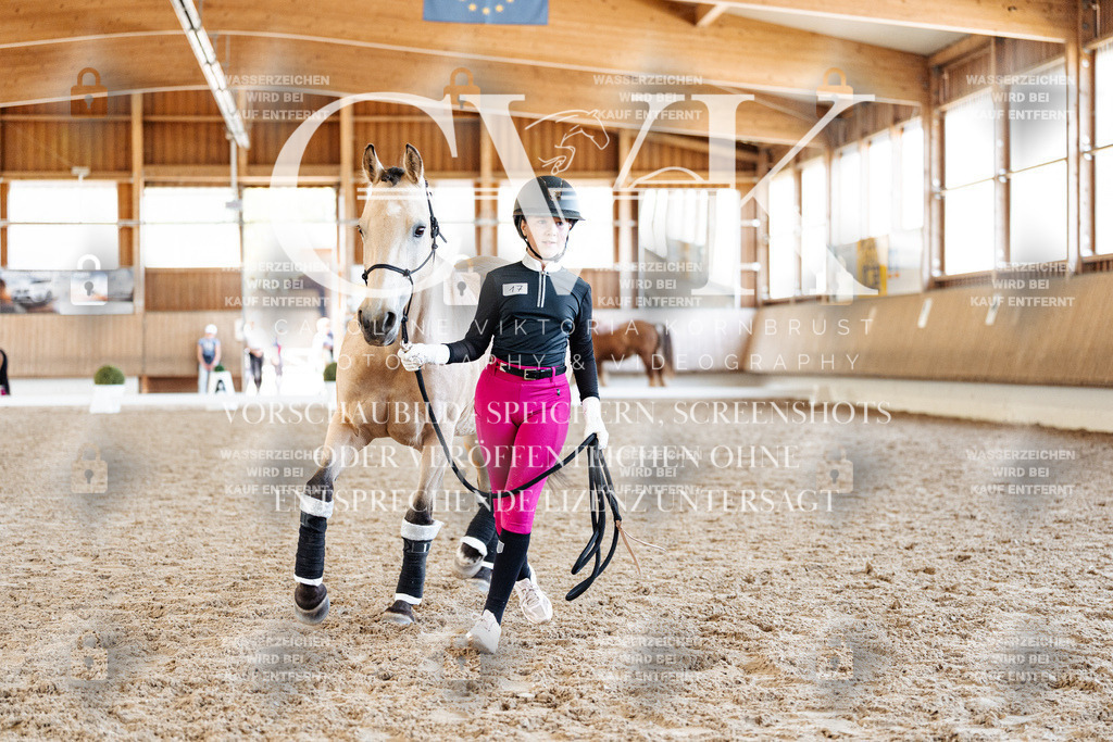CK907192 | Turnierfotografie Pferdefotografie Trier Rheinland-Pfalz Pferdesport Reitsport Tierfotografie Sportfotografie Pferdevideo Pferdevideografie Equestrianvideography equestrianphotography  - Realisiert mit Pictrs.com