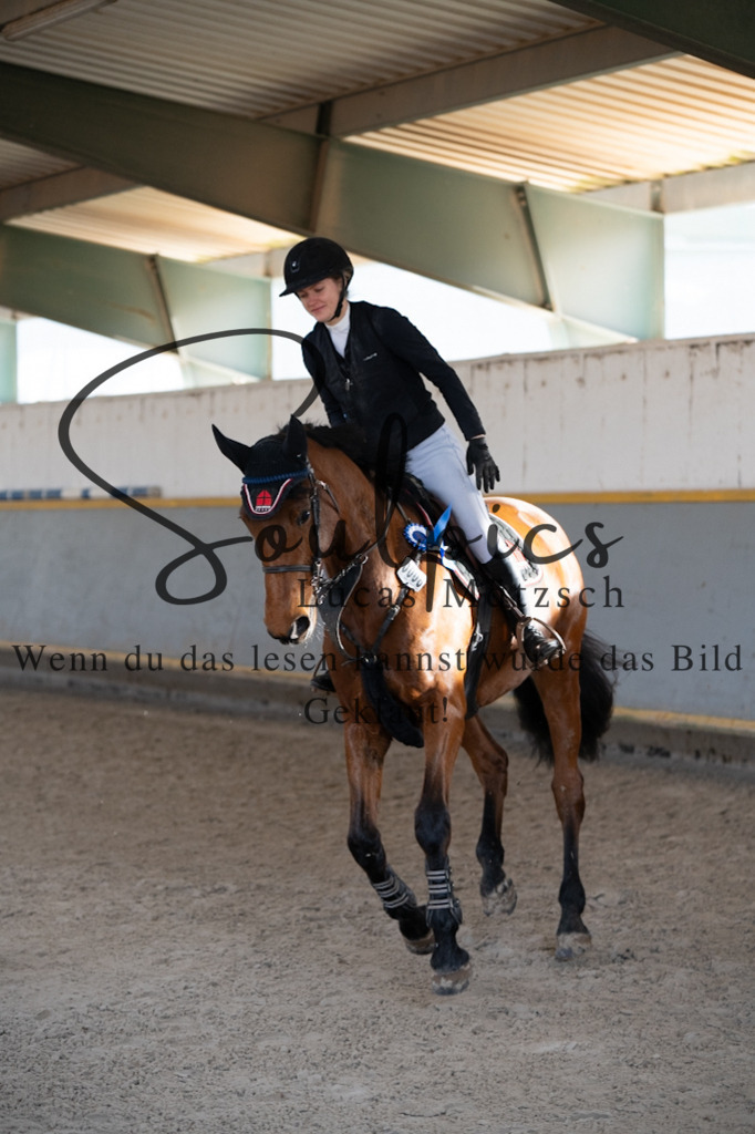 A7V02445 | Pferdefotograf