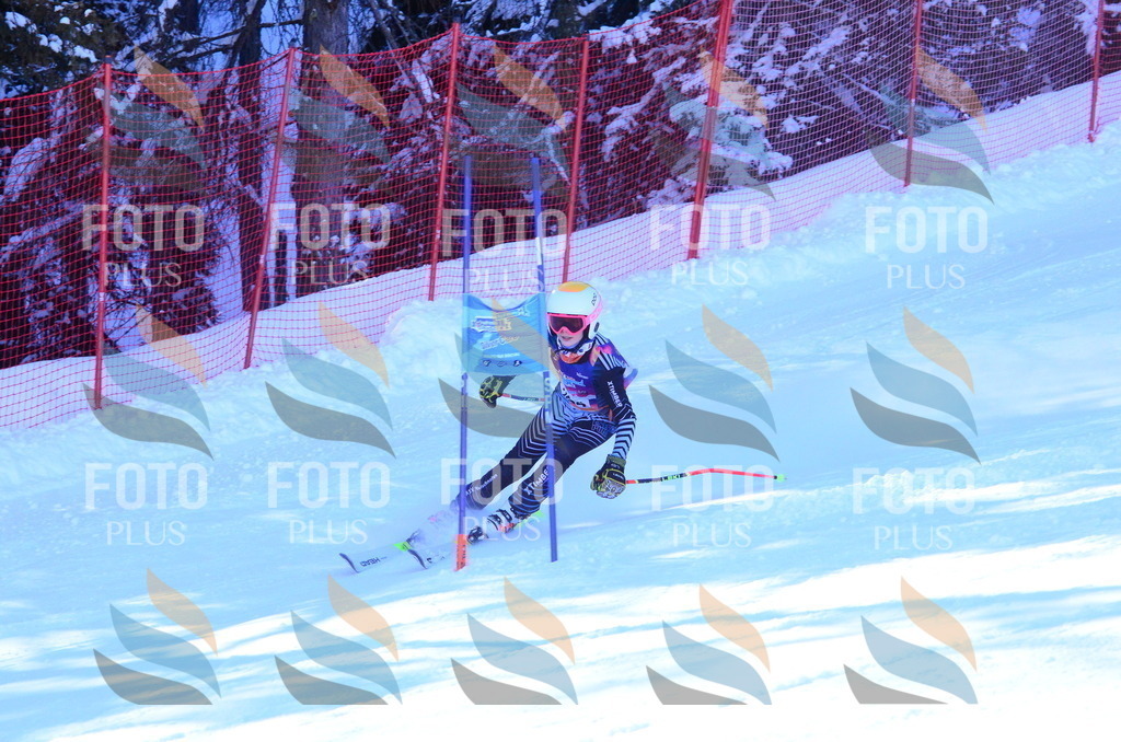 B4892 | holidayphoto